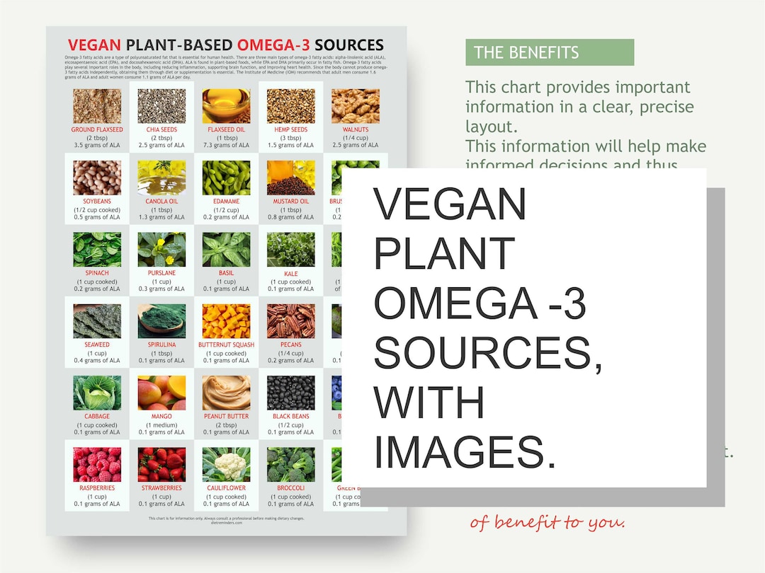 Vegan Food Chart, Digital Download PDF, Vegan Reference, Omega 3