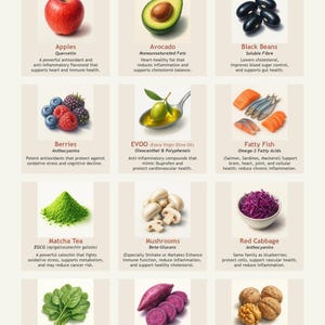 May include: A colorful infographic poster with illustrations of 12 foods that are considered longevity foods. The poster lists the foods and their health benefits, including antioxidants, healthy fats, fiber, and anti-inflammatory compounds. The foods listed are apples, avocado, black beans, berries, EVOO, fatty fish, matcha tea, mushrooms, red cabbage, spinach, sweet potatoes, and walnuts.