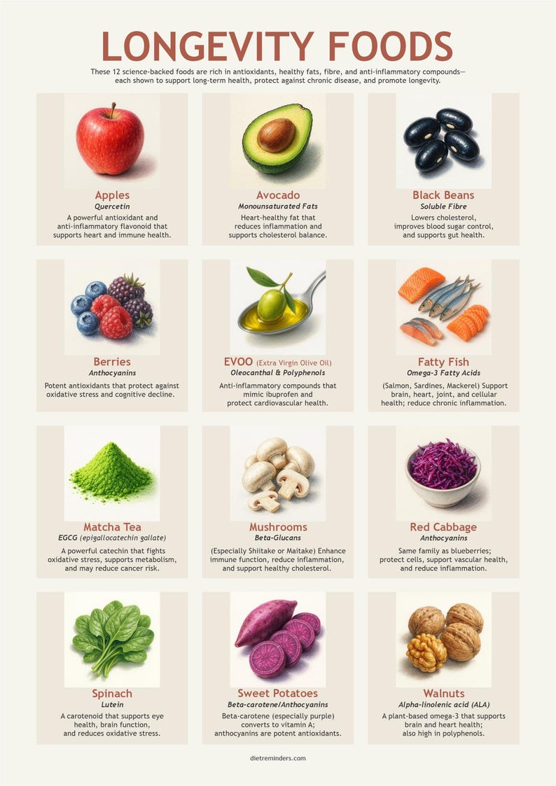 May include: A colorful infographic poster with illustrations of 12 foods that are considered longevity foods. The poster lists the foods and their health benefits, including antioxidants, healthy fats, fiber, and anti-inflammatory compounds. The foods listed are apples, avocado, black beans, berries, EVOO, fatty fish, matcha tea, mushrooms, red cabbage, spinach, sweet potatoes, and walnuts.