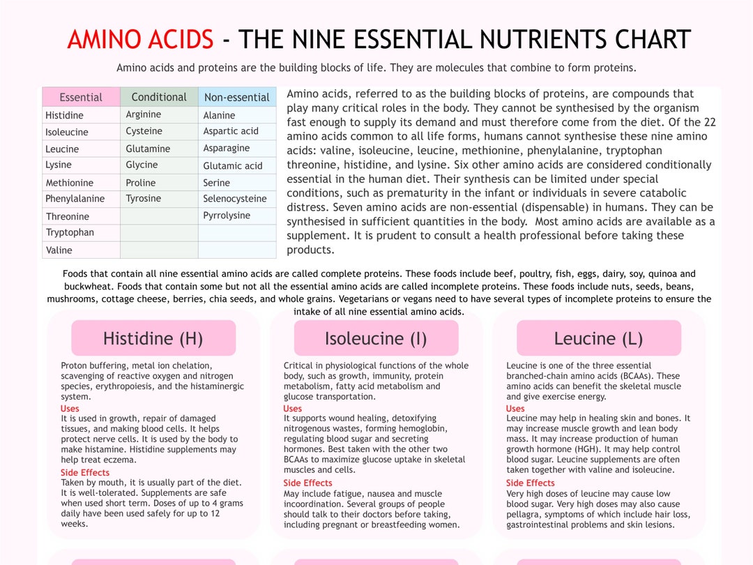 Amino Acids Chart Digital Download PDF Etsy