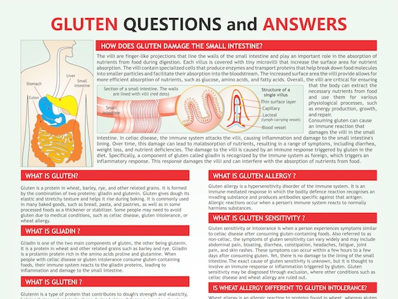 Régime sans gluten : guide du débutant détaillé et menus