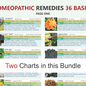 HOMEOPATHIE-informatiekaart, digitale download-pdf, homeopathiekaart, basishomeopathie, like cures like, placebo-effect
