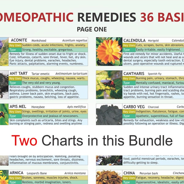 HOMEOPATHY Guide Chart, digital download PDF, homeopathy chart, basic homeopathy, like cures like, placebo effect