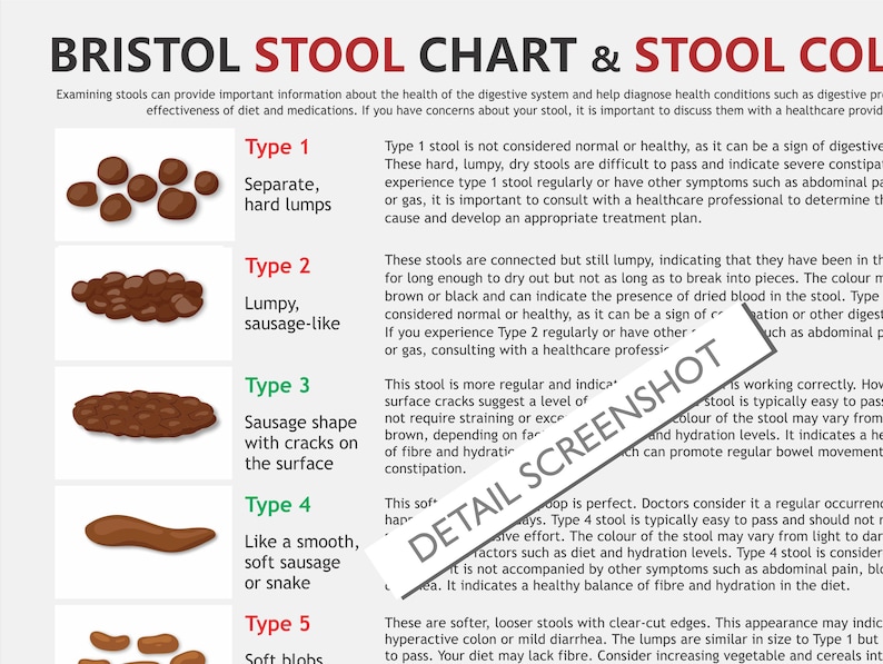 Bristol Stool Chart, Digital Download PDF, Stool Health, Healthy Poop