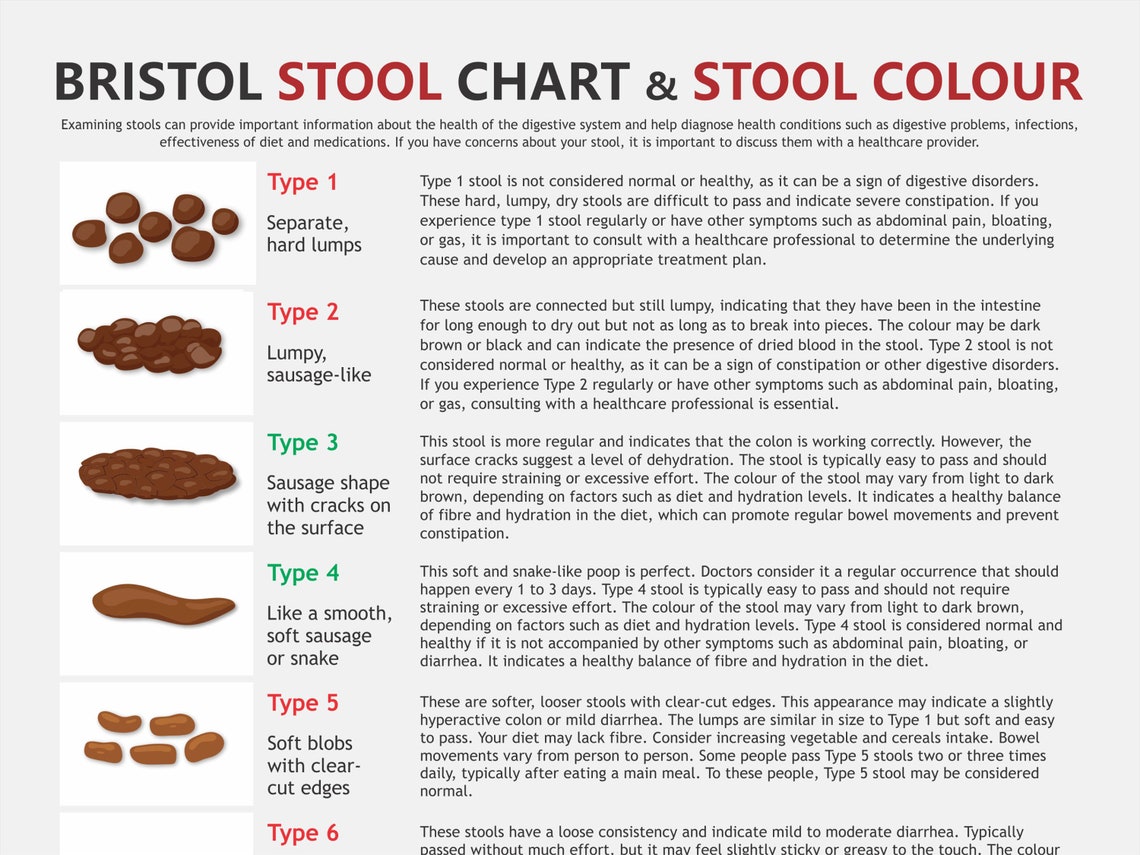 Bristol Stool Chart, Digital Download PDF, Stool Health, Healthy Poop ...
