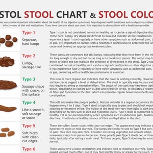 Bristol Stool Chart, digital download PDF, stool health, healthy poop, pooping problems, hard stools, diarrhoea issues image 2