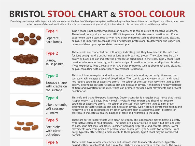 Bristol Stool Chart, digital download PDF, stool health, healthy poop, pooping problems, hard stools, diarrhoea issues image 2