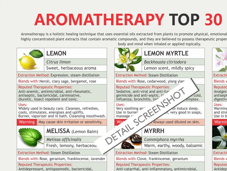 Aromatherapy Top 30 Oils, Digital Download PDF, Therapeutic Oils, Mood