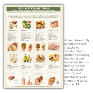Puede incluir: Un gráfico de tamaño de porción de alimentos con ejemplos de granos, verduras, frutas, proteínas, lácteos, grasas, nueces y refrigerios. El gráfico utiliza manos y artículos del hogar para visualizar los tamaños de las porciones. El texto dice: "Visualice los tamaños de las porciones estándar."