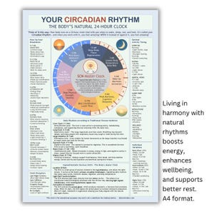 Circadian Rhythm Chart: Body Clock & Sleep Cycle Guide (Digital Download A4 PDF)