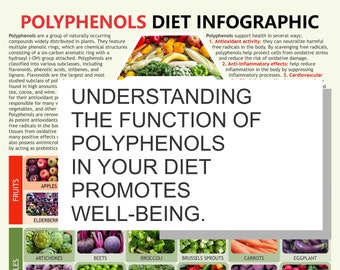 Polyphenol Food Chart: Antioxidant-Rich Foods Guide (PDF Download A4 Size)