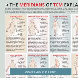 Traditional Chinese Medicine Meridians Chart | TCM Acupuncture ...