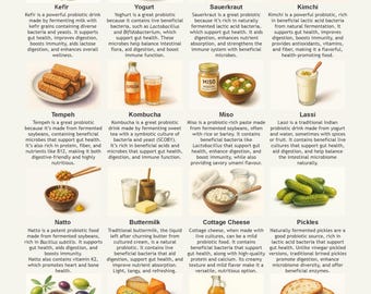 Probiotic Foods Chart: Gut Health Guide (A4 PDF Digital Download)