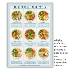 Puede incluir: Gráfico en formato A3 titulado "Nine Plates - Nine Paths" que presenta visualmente nueve dietas populares, cada una dispuesta en su propio plato. El gráfico incluye texto e ilustraciones de las dietas, como la mediterránea, la paleo y la keto.