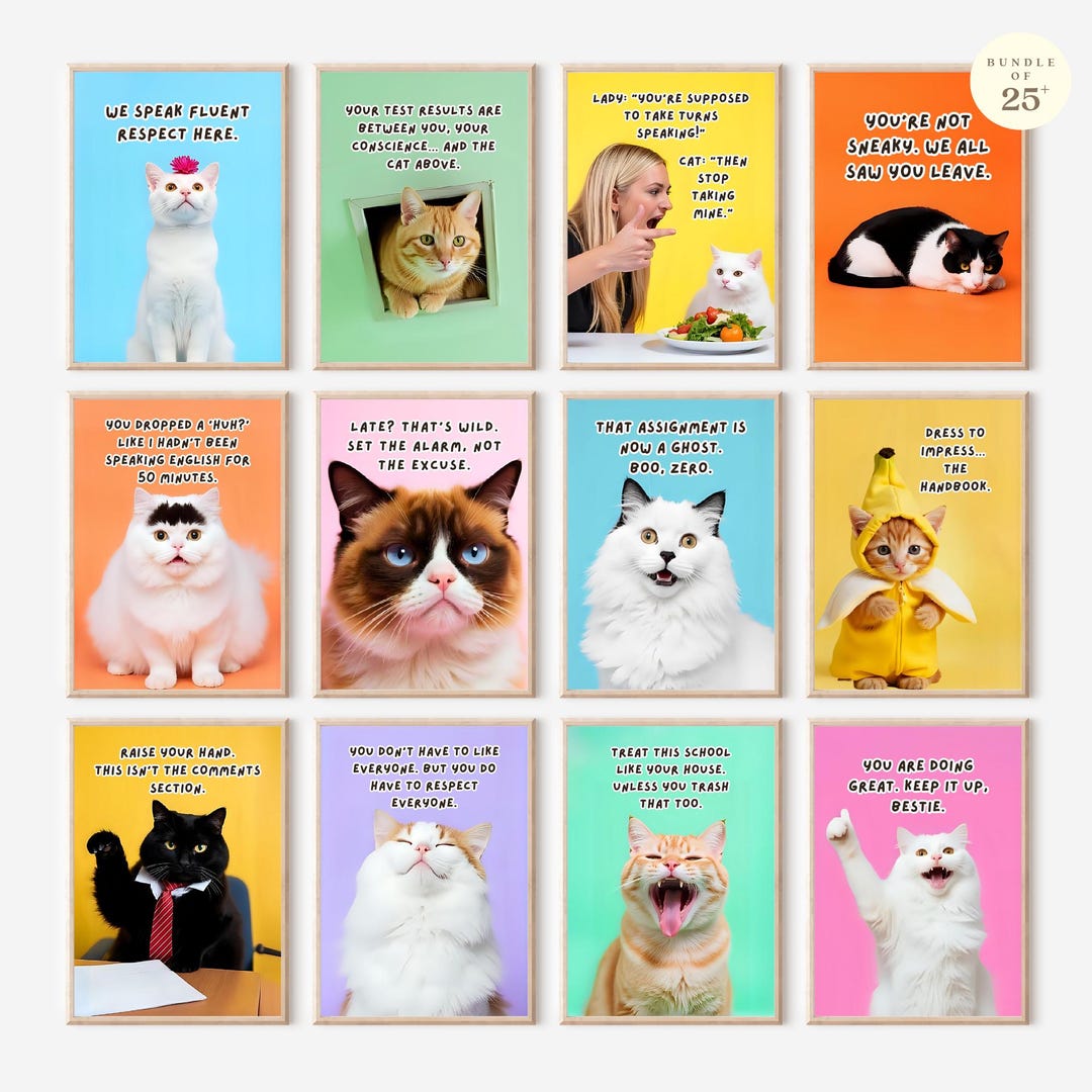 Funny Class Rules Cat Meme Posters, Hilarious Classroom Decor for