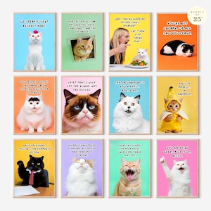 Funny Class Rules Cat Meme Posters, Hilarious Classroom Decor for High School Middle School, Teachers Bulletin Board Kit Digital Download