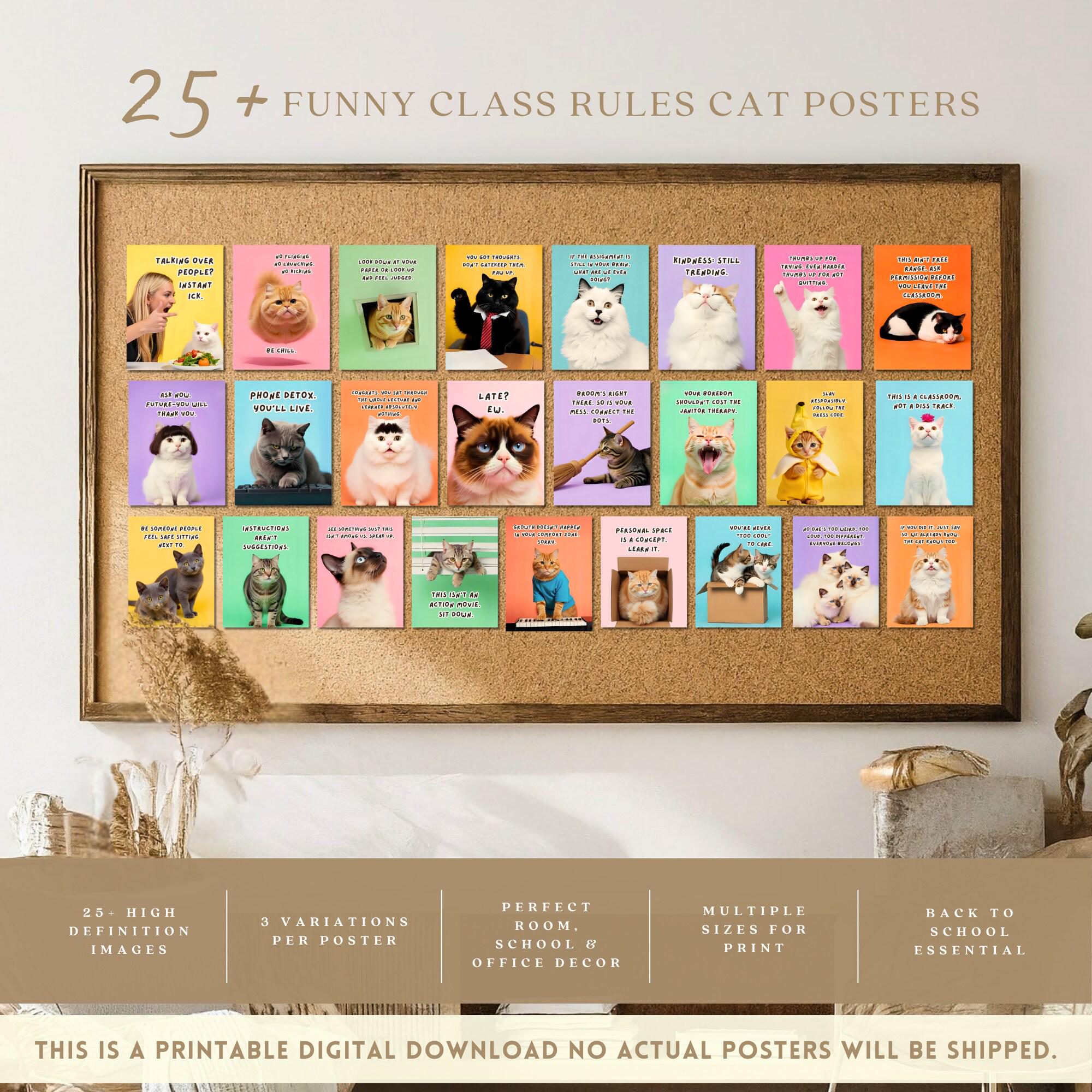 Funny Class Rules Cat Meme Posters, Hilarious Classroom Decor for High ...