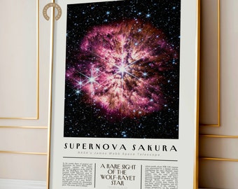 NASA James Webb Space Telescope 2023: Supernova Cherry Blossom Deep Field Digital Art, First Printable Posters, JWST Science School Bulletin