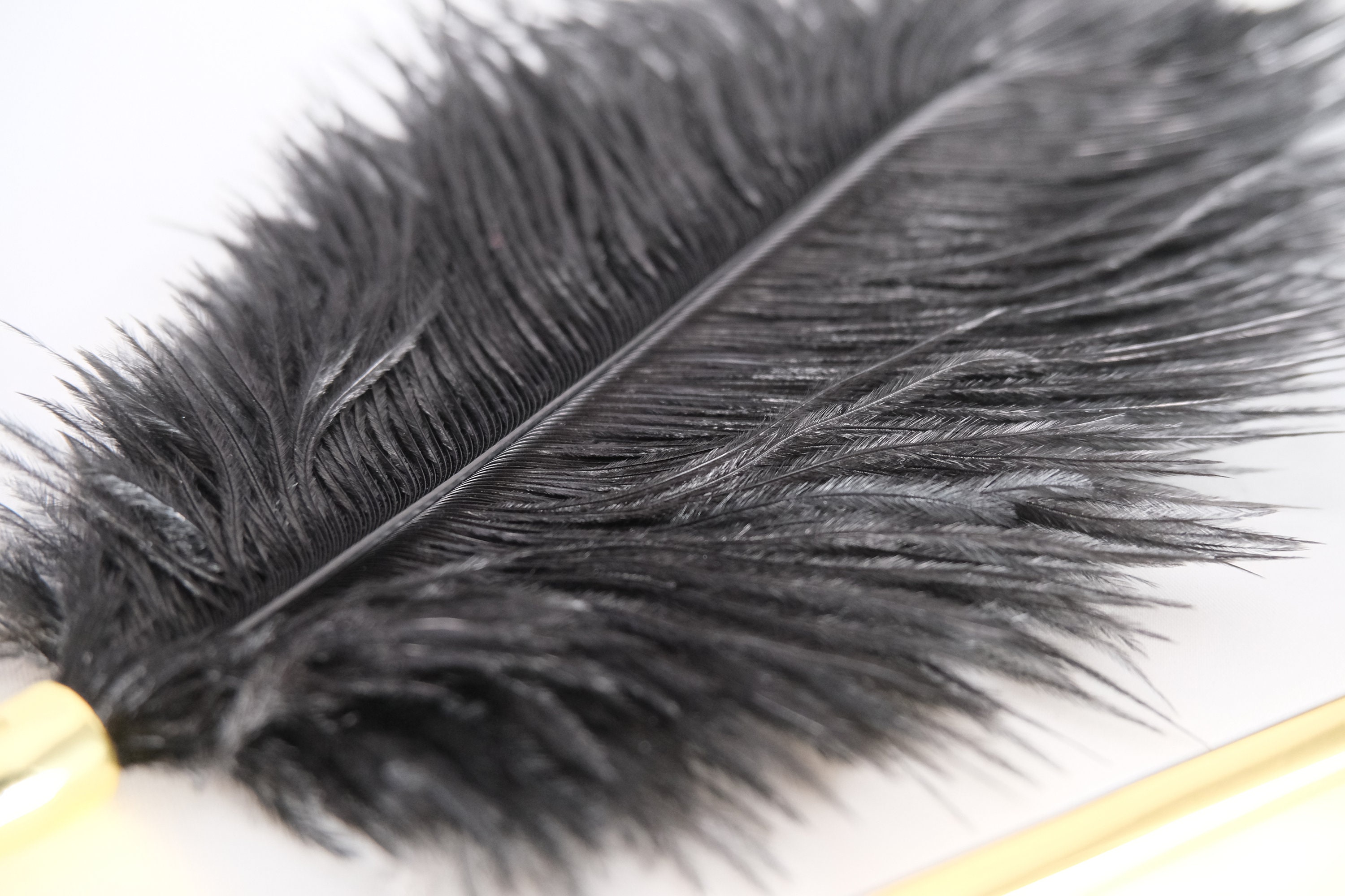 Black Feather Tickler - The BDSM Toy Shop