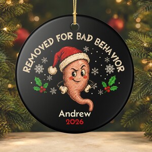 May include: A round black ceramic Christmas ornament featuring a cartoon character wearing a Santa hat, surrounded by white snowflakes and green holly leaves. The text reads REMOVED FOR BAD BEHAVIOR, Andrew, and the year 2026 in red font.