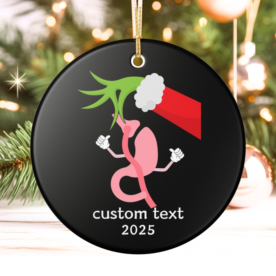 Gastric Bypass Ornament, Funny Bariatric Surgery Recovery Gift ...