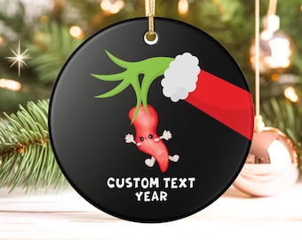 Funny Appendix Christmas Ornament, Custom GI Nurse Appendectomy Gift, Surgery Recovery Anatomy Ornament