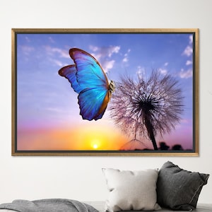 May include: A blue morpho butterfly perched on a dandelion seed head against a sunset sky.