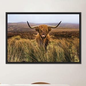 Cow Wall Decor, Minimalist Wall Art, Animal Canvas, Farmhouse Artwork, Personalized Glass Art, Hairy Cow Wall Table, Mural Art, Cow Poster,