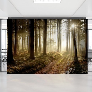 Druckbare Wandkunst, selbstklebendes Papier, 3D Wandkunst, Geschenk für ihn, Waldweg bei Sonnenuntergang Wandkunst, Sonnenuntergang Tapete, 3D Landschaftstapete