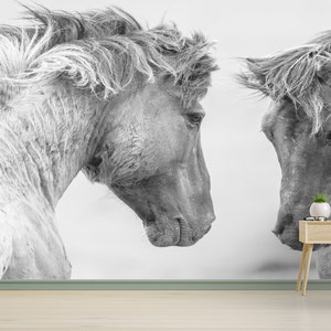 Two Horses Wallpaper Mural: Animal Wall Decals, Horse Lover Gift