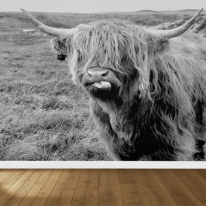 Stampa murale di toro selvatico, pittura murale di animali, carta da parati con paesaggio naturale, adesivi murali con bovini delle Highland scozzesi, decorazione murale, fauna selvatica,