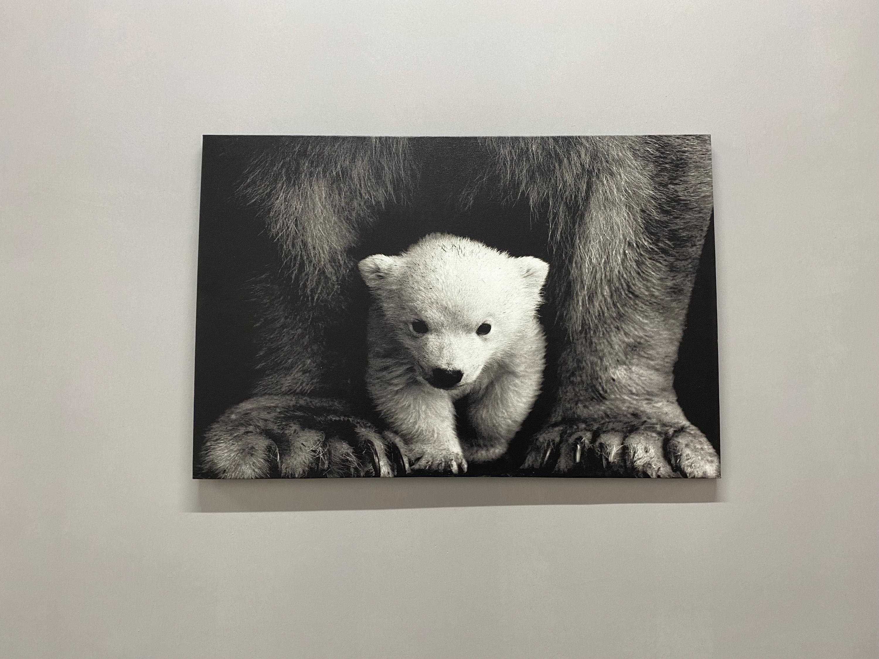 Baby Polar Bear Wall Art, Christmas Decor, Animal Wild Art Wall Decor, Polar Bear Art, Animal Art, Holiday Decor,