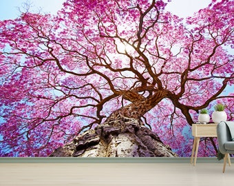 May include: A large, pink flowering tree with a thick trunk, viewed from below, with the sun shining through the branches.