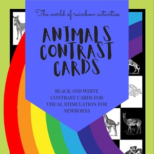 Animals Contrast Cards