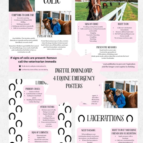 Digital Download EQUINE EMERGENCY POSTER, equine health posters, horseback riding, equestrian downloads, equine posters, equine health