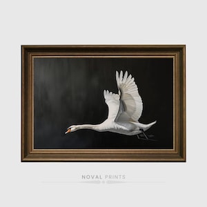 Antique  Flying Swan Watercolor Print, Vintage Nursery Wall Decor, Farmhouse Nursery Wall Art, Digital Printable Art, Instant Download