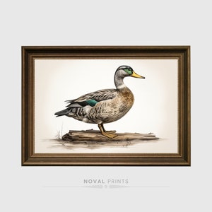 Early 1900&#39;s Printable Vintage Duck Wall Art Nursery Painting, Animal Art, Vintage Animal Bird Home Decor, Neutral Woodland Nursery Wall Art