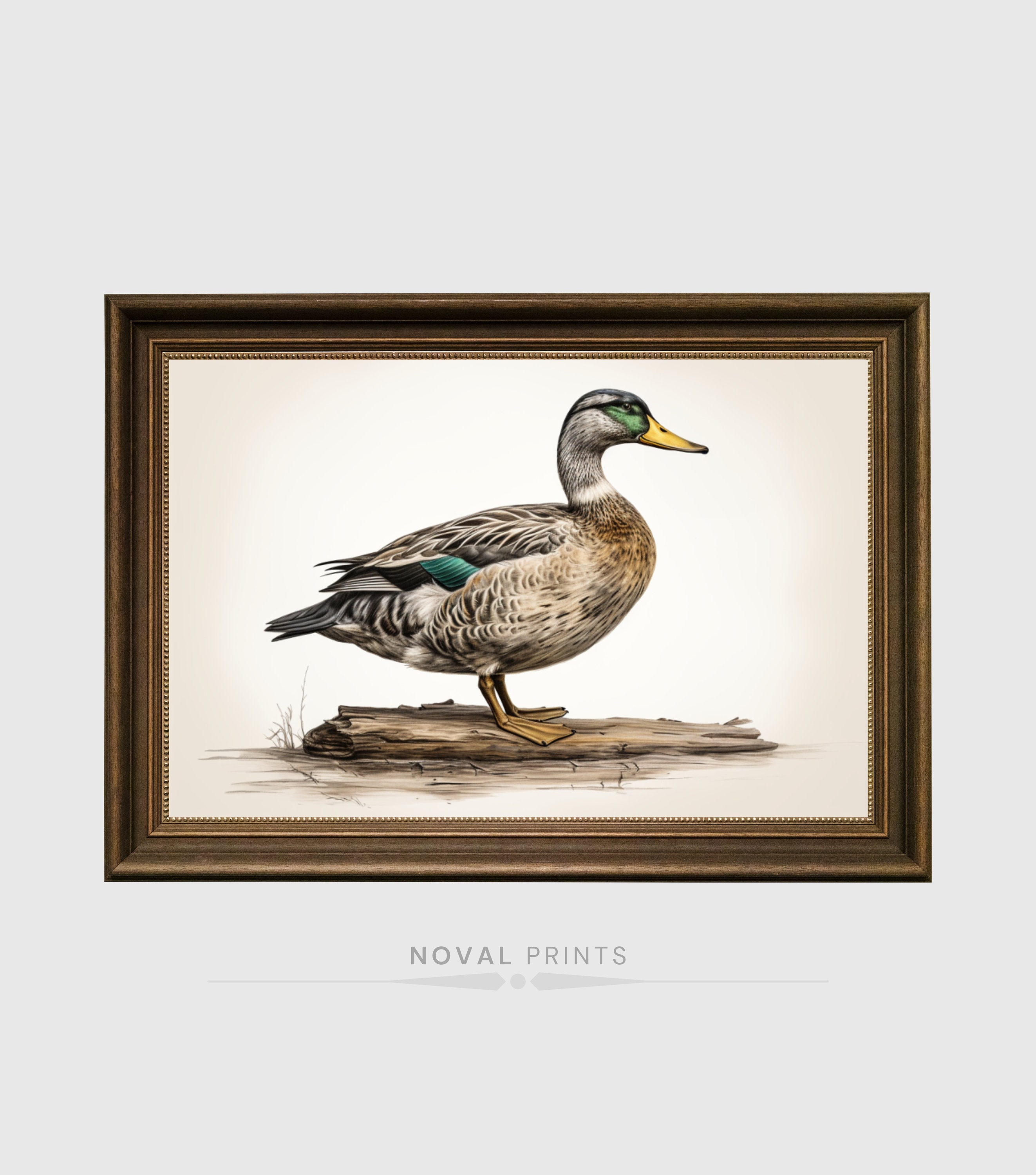 Early 1900's Printable Vintage Duck Wall Art Nursery Painting, Animal