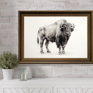 Buffalo Pencil Drawing Home Decor, American Bison Wall Art Print, Bison Sketch Printable Western Farmhouse Art, Black And White Bull Sketch