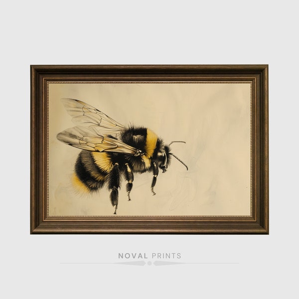 Bumble Bee Honey Bee Painting Canvas Vintage Still Life Oil Painting, Moody Bee Wall Art Kitchen Wall Art French Country Decor