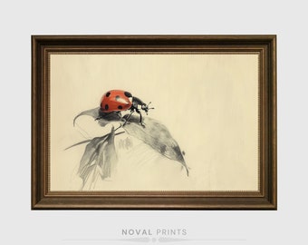 Ladybug Beetle, Art Print, Painting Reproduction, Vintage Beetle Wallpaper, Nature Art, Nursery Wall Art, Ladybug Painting