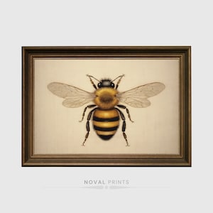 Vintage Bee Print, Manchester Bee, Bee Honey Art, Bee Home Decor, Bumble Bee Art Print, Bee Wall Art, Bee Wall Decor, Bee Painting, Bee Art