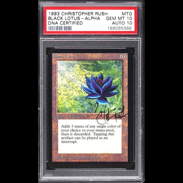 Black lotus mgt