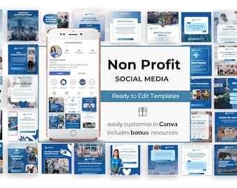 Plantilla de Canva para redes sociales de organizaciones sin fines de lucro, plantillas para ONG, donaciones, recaudación de fondos, Instagram para organizaciones benéficas, activistas, organizaciones de voluntarios, publicaciones de Instagram