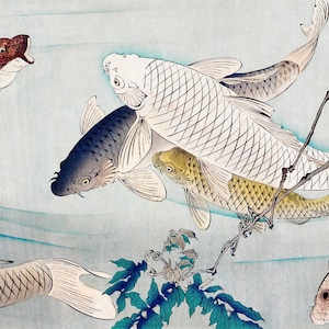 Six carp swimming beneath wisteria (1889) by Tsukioka Yoshitoshi. Druck Download Digital