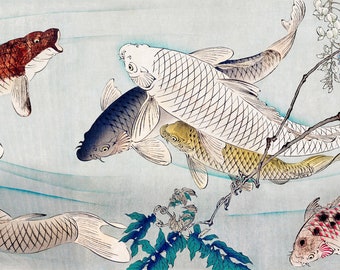 Six carp swimming beneath wisteria (1889) by Tsukioka Yoshitoshi. Druck Download Digital