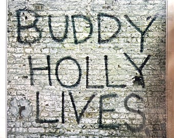 Buddy Holly and The Crickets – 20 Golden Greats | Vinyl LP | Rock & Roll Classics | FREE SHIPPING!!!