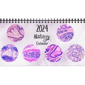 Histology Art Desk Calendar 2024 Histology Watercolor Anatomy Art Pathology Science Calendar Med School Teacher Lab Nurse New Future Dr Gift