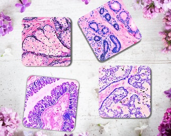 Histology Watercolor Art Coaster Set New Doctor Medical Student Women in Science Biology Teacher Medical Lab Tech Ophthalmology Art Gift Her