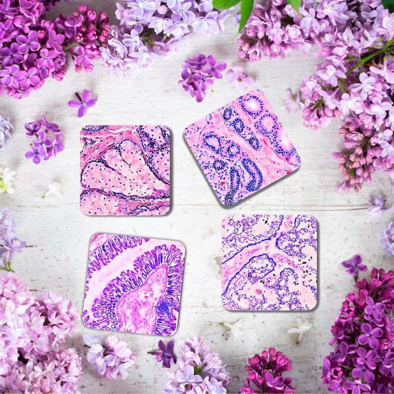 Pu&ograve; includere: Quattro sottobicchieri quadrati con un'immagine microscopica di cellule rosa e viola. I sottobicchieri sono su uno sfondo bianco con fiori viola.